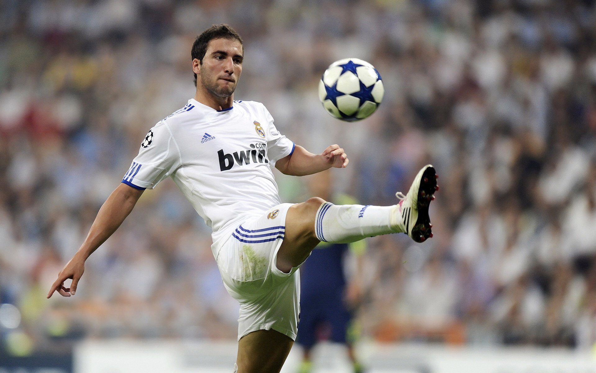 班凯罗统治级表现征服赛场，深圳队对阵灰熊之战见证新星无争议加冕